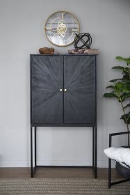 31.5x16.5x60" Cabinet, Black